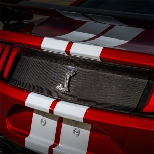Ford Mustang Trim Panel - Rear - Ford Racing - Carbon Fiber - Gloss Finish - `20-`22